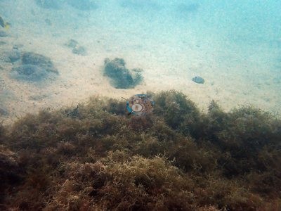 Image 10