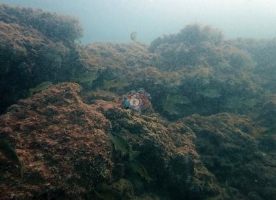 Image 11