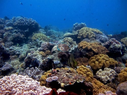 Image 15