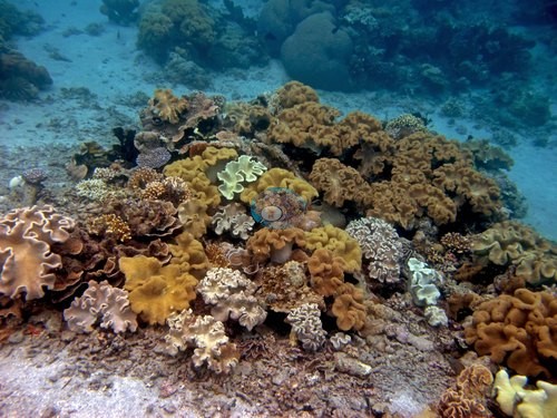 Image 9