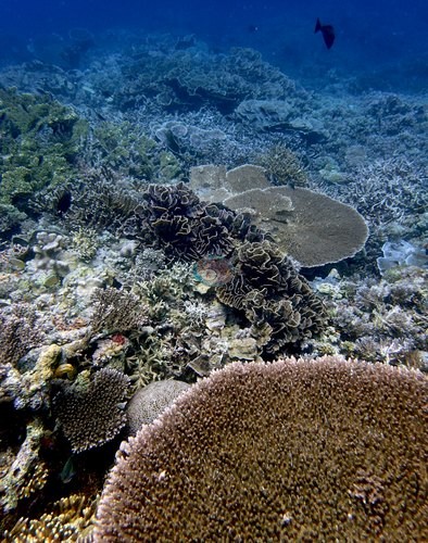 Image 13