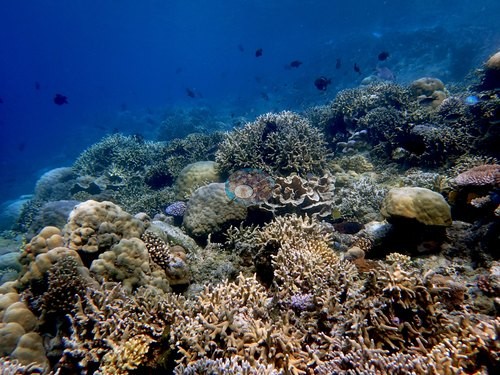 Image 18