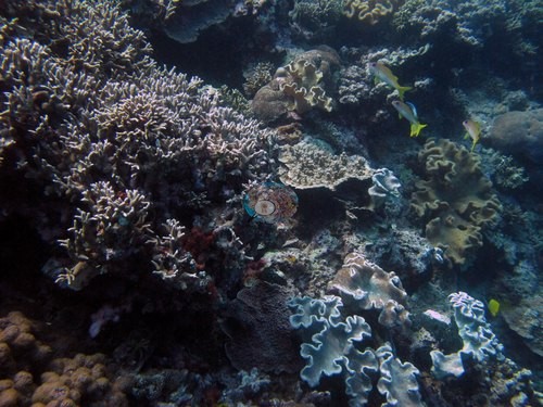 Image 13
