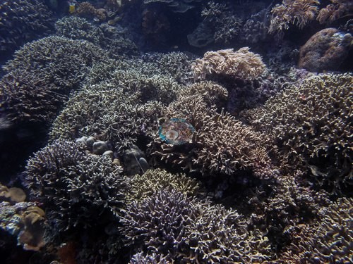 Image 18