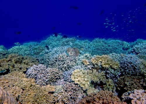 Image 22