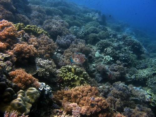 Image 23