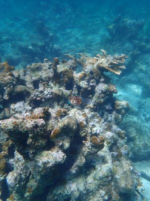 Image 18