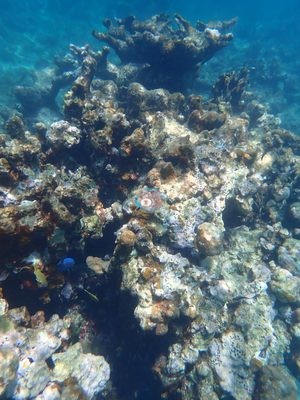 Image 22