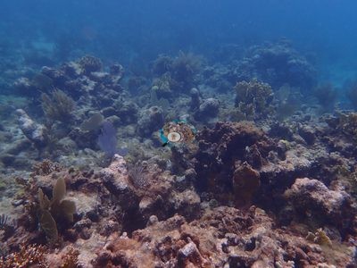 Image 73