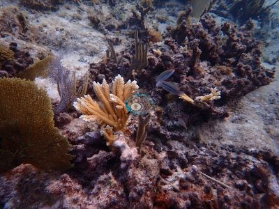 Image 11