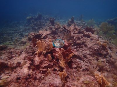 Image 13