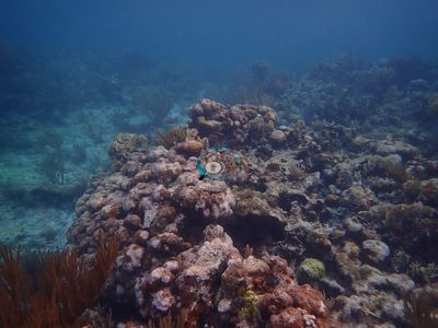 Image 18