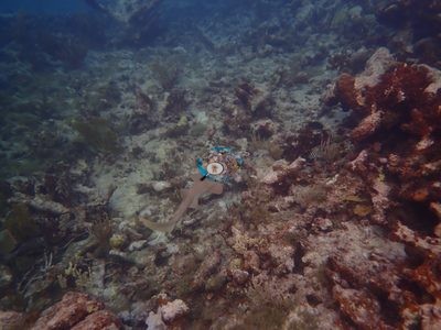 Image 68