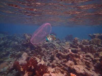 Image 69