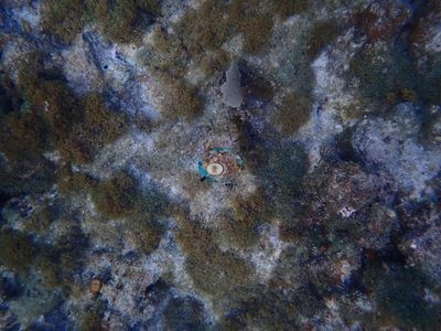 Image 70