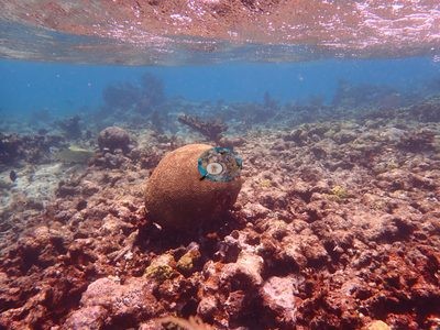 Image 12