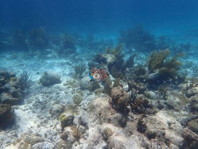 Image 14