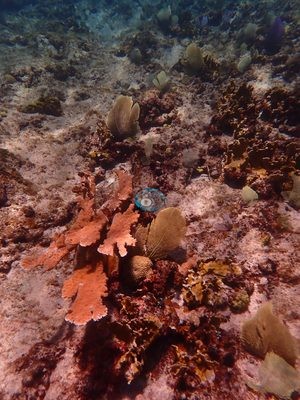 Image 35