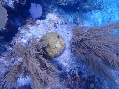 Image 6