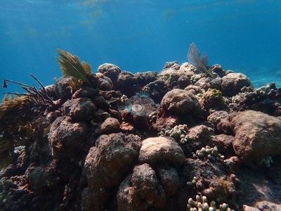 Image 12