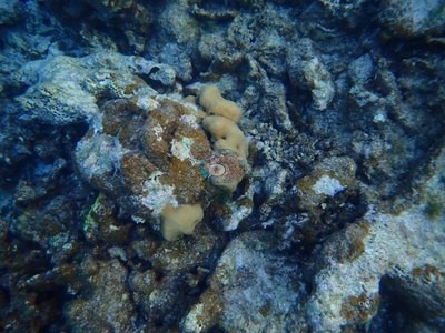 Image 13