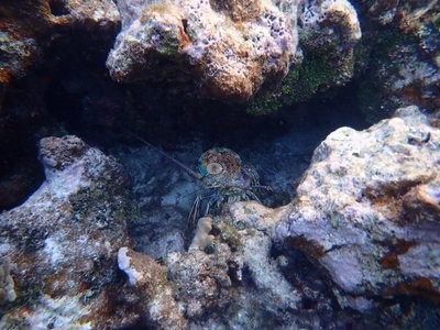 Image 21