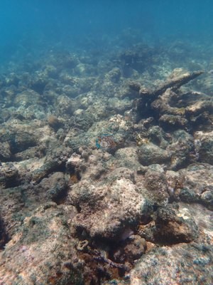 Image 22