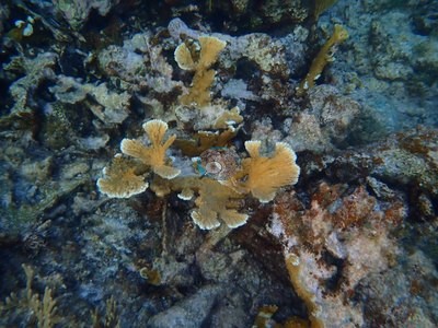 Image 33