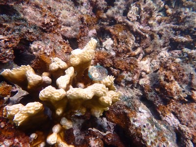 Image 34