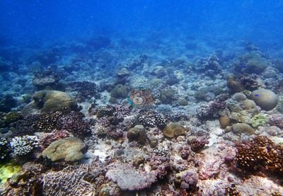 Image 15
