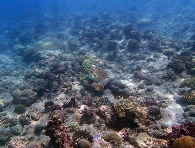 Image 16