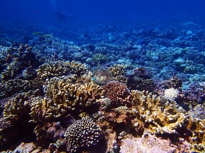 Image 13