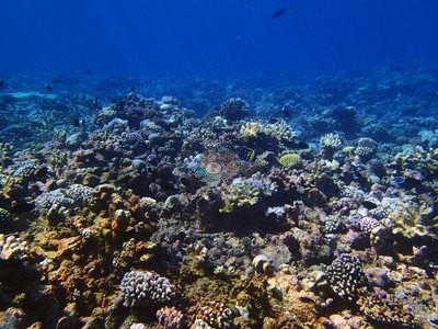 Image 22
