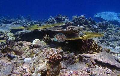 Image 13