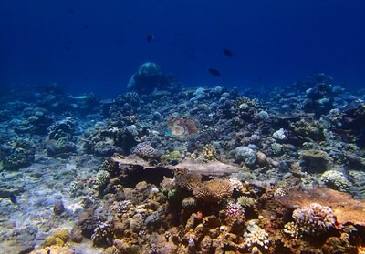 Image 14