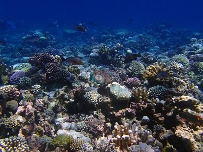 Image 20