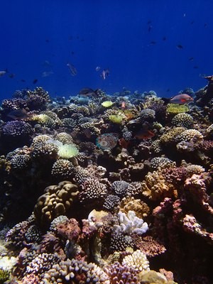 Image 23