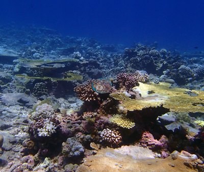 Image 27