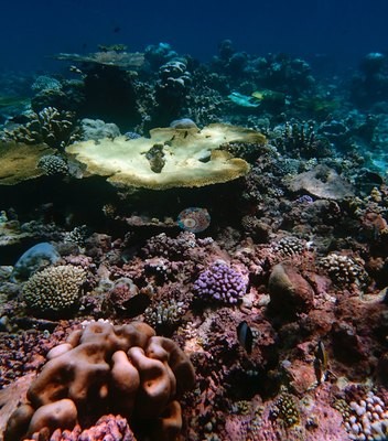 Image 35