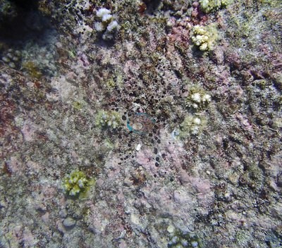 Image 17