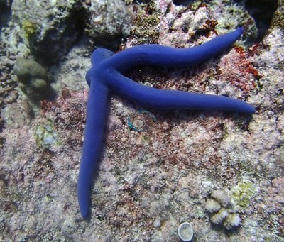 Image 24