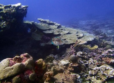 Image 13