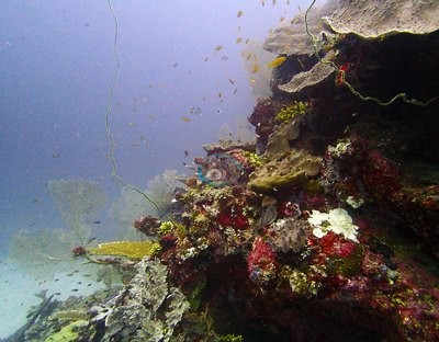 Image 17