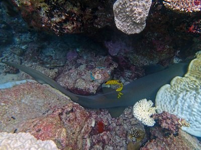 Image 37