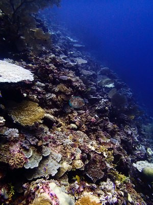 Image 13