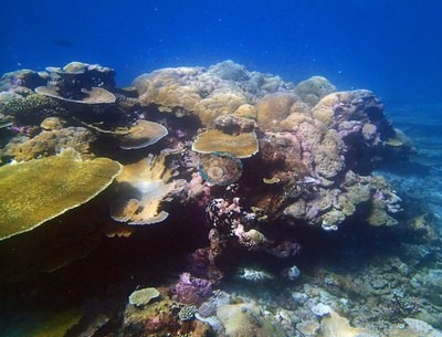 Image 18