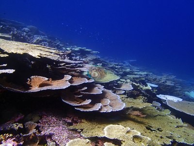 Image 34