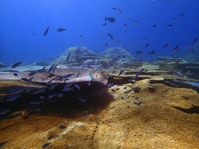 Image 7