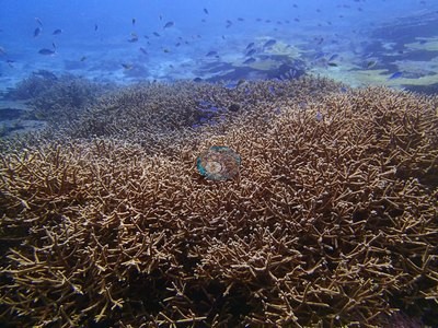 Image 13