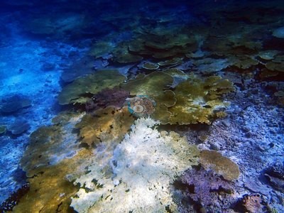 Image 15